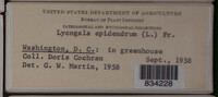 Image Associated With the Occurence